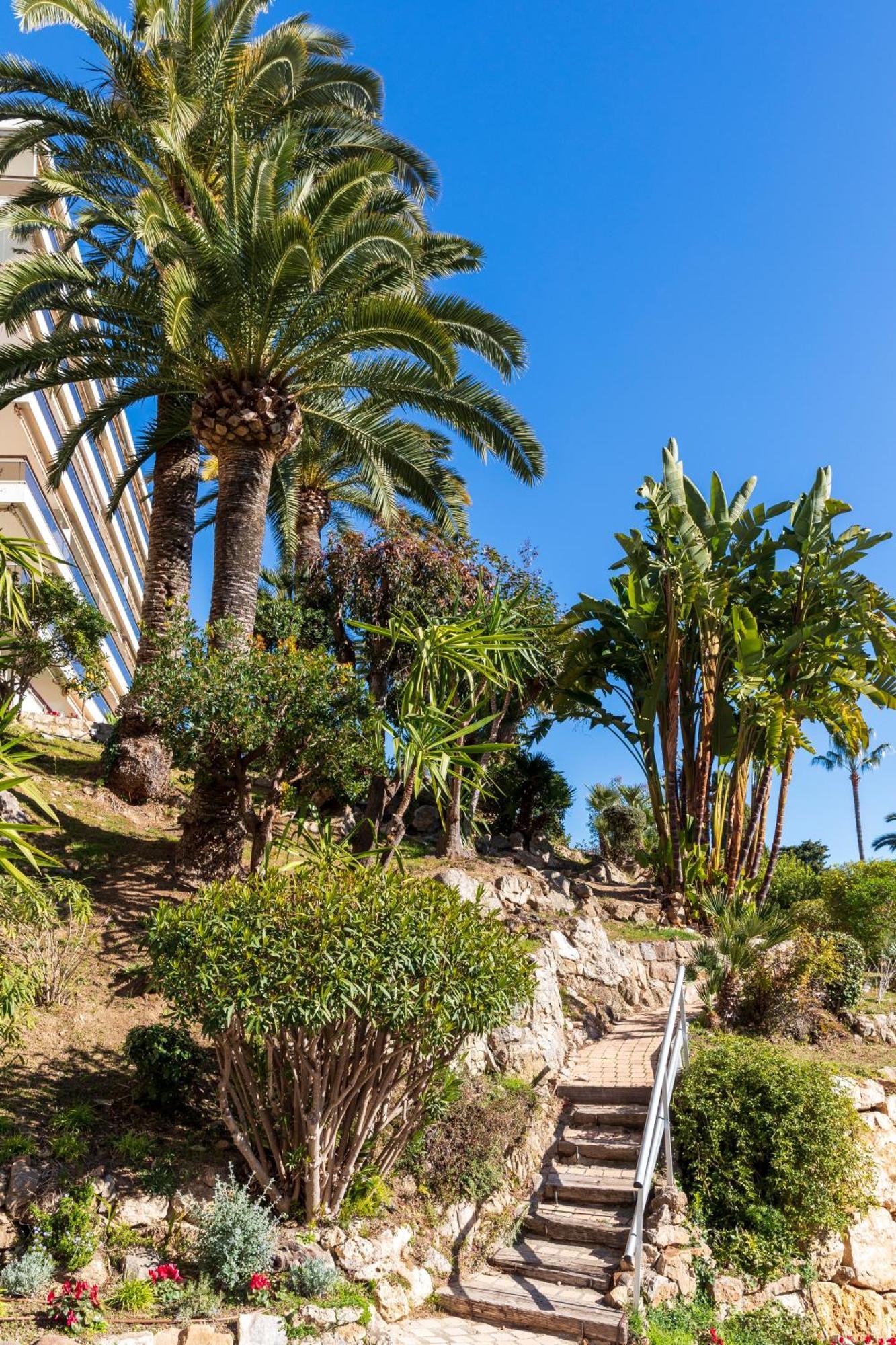 Super Cannes Sea Side 瓦洛里 外观 照片